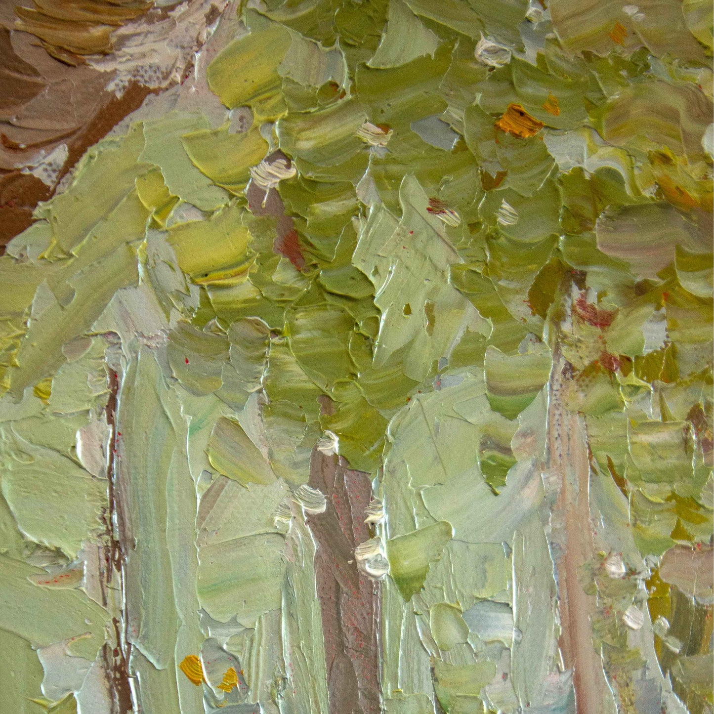 CLARTÉ SAUVAGE (WILD CLARITY)