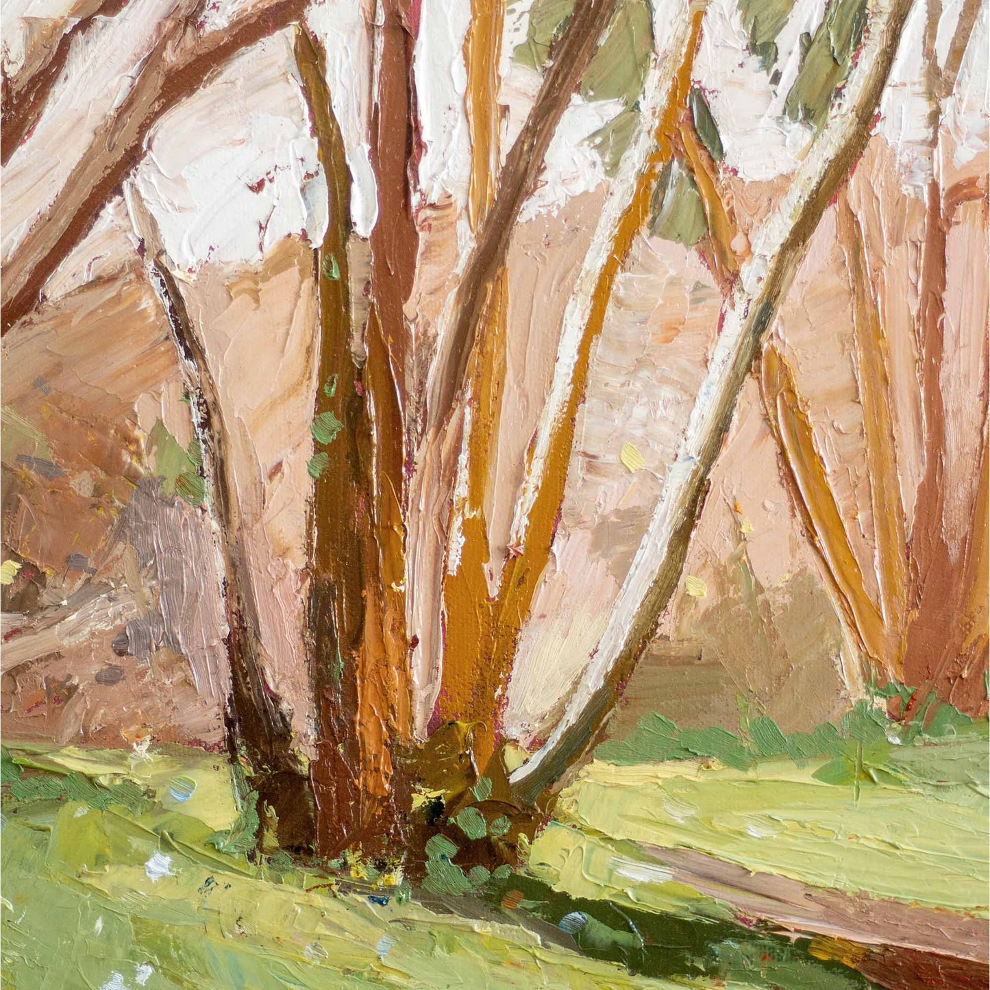 LES VEILLEURS DU SENTIER (THE WATCHERS OF THE TRAIL)