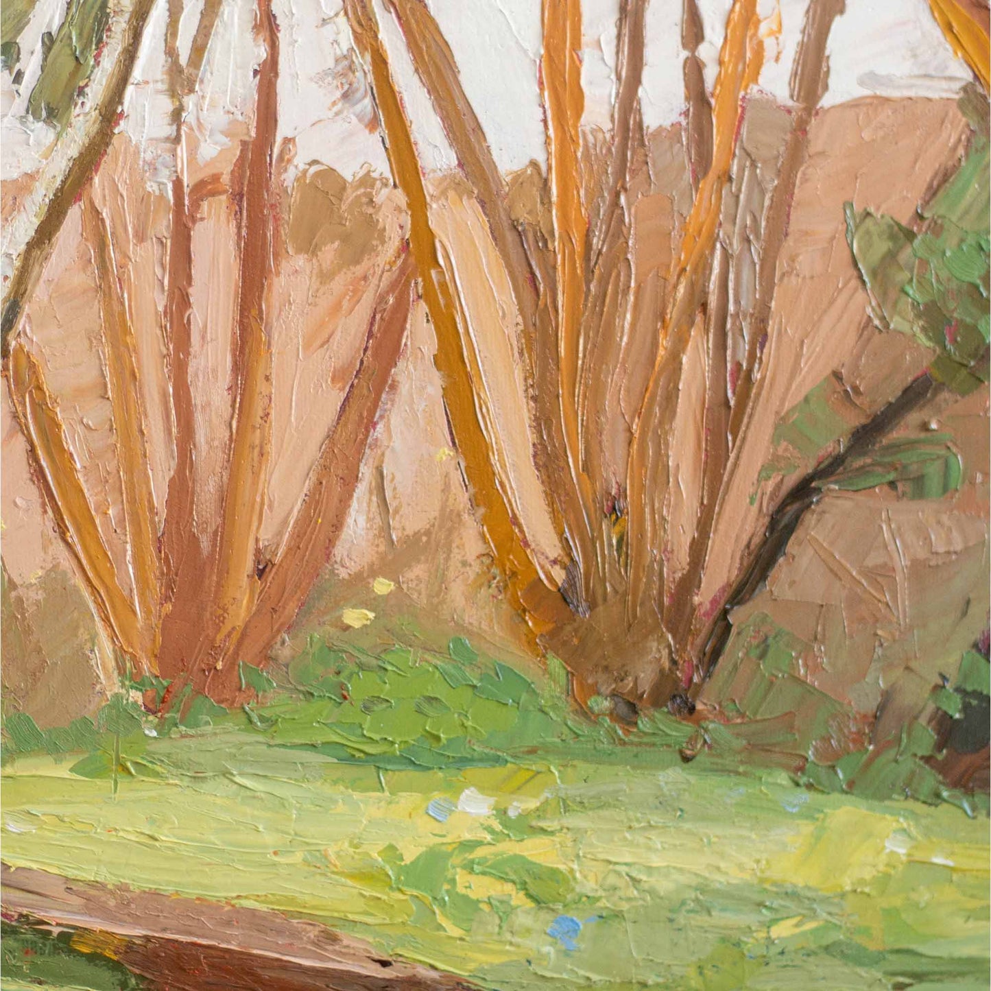LES VEILLEURS DU SENTIER (THE WATCHERS OF THE TRAIL)