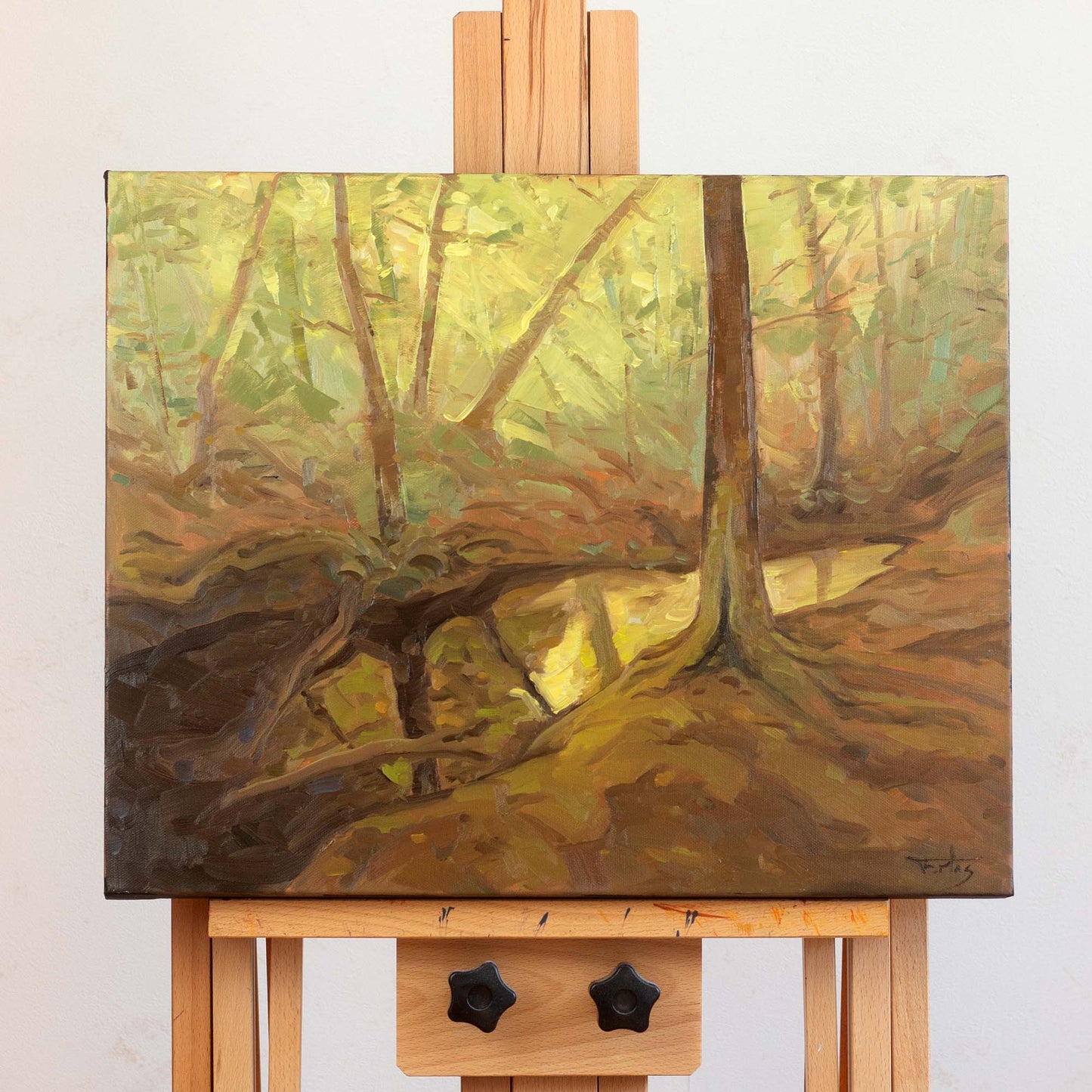 L'AME DE LA FORET (THE SOUL OF THE FOREST)