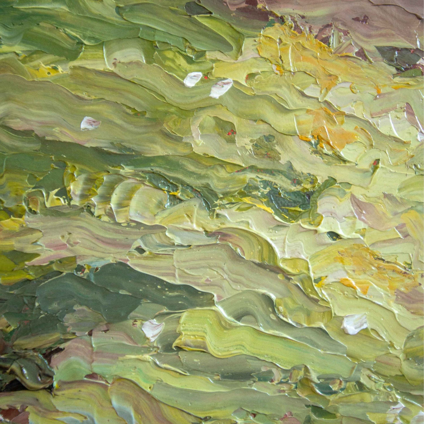 CLARTÉ SAUVAGE (WILD CLARITY)