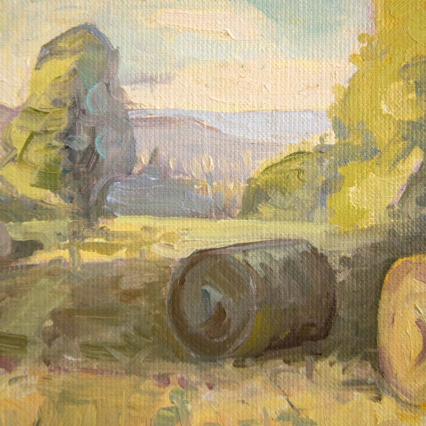 BALLOTS DE PAILLE (HAY BALES)