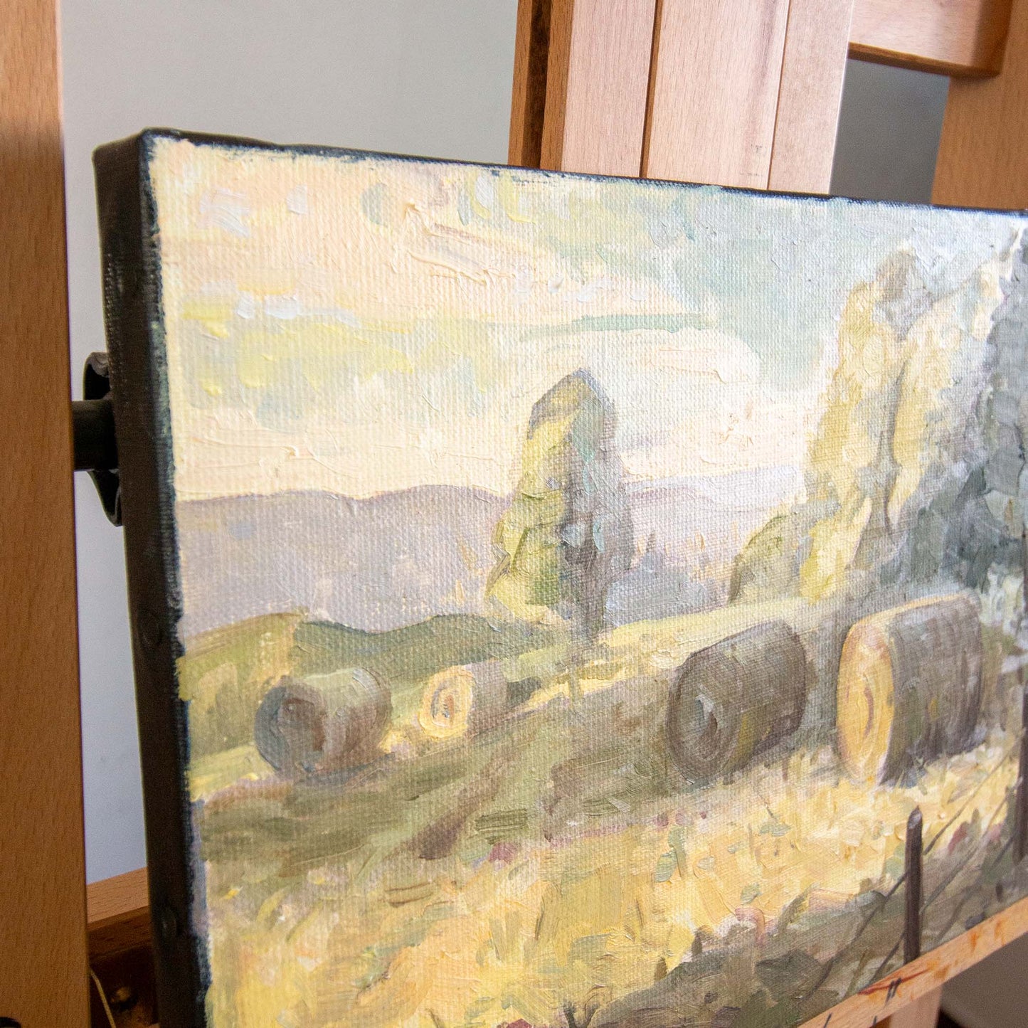 BALLOTS DE PAILLE (HAY BALES)