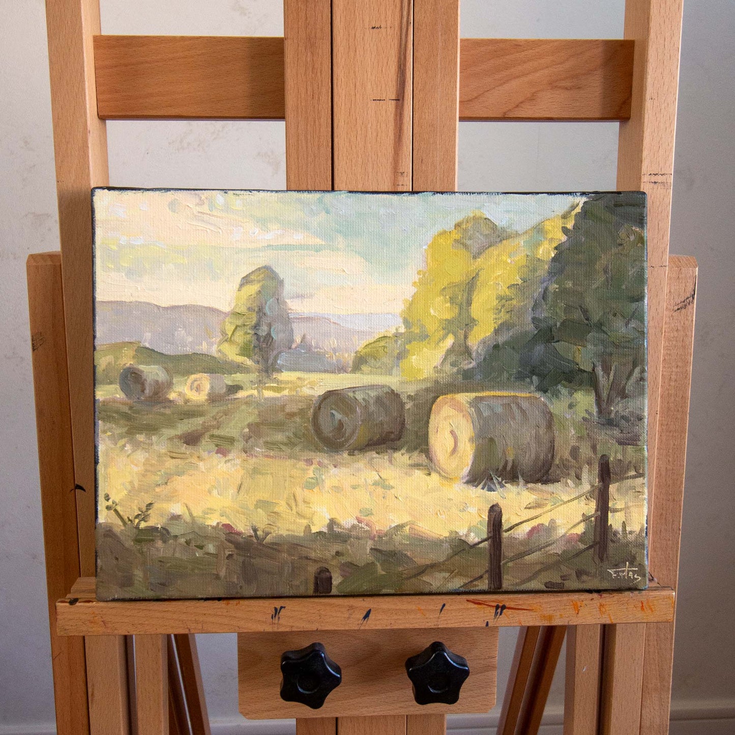 BALLOTS DE PAILLE (HAY BALES)